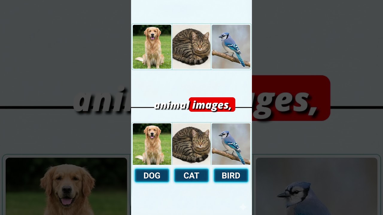 What are Labels in Machine Learning? An Easy Guide thumbnail